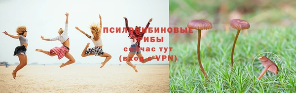 a pvp Пересвет