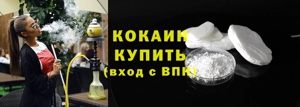 шишки Пестово