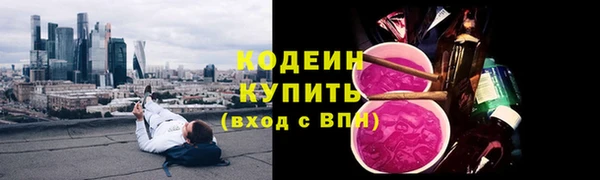 a pvp Пересвет