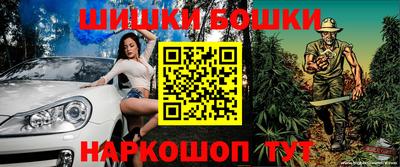 тгк Новоалтайск