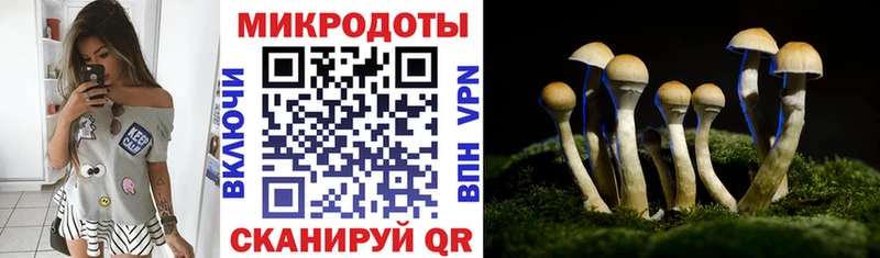 Псилоцибиновые грибы Psilocybine cubensis  где можно купить наркотик  Братск 