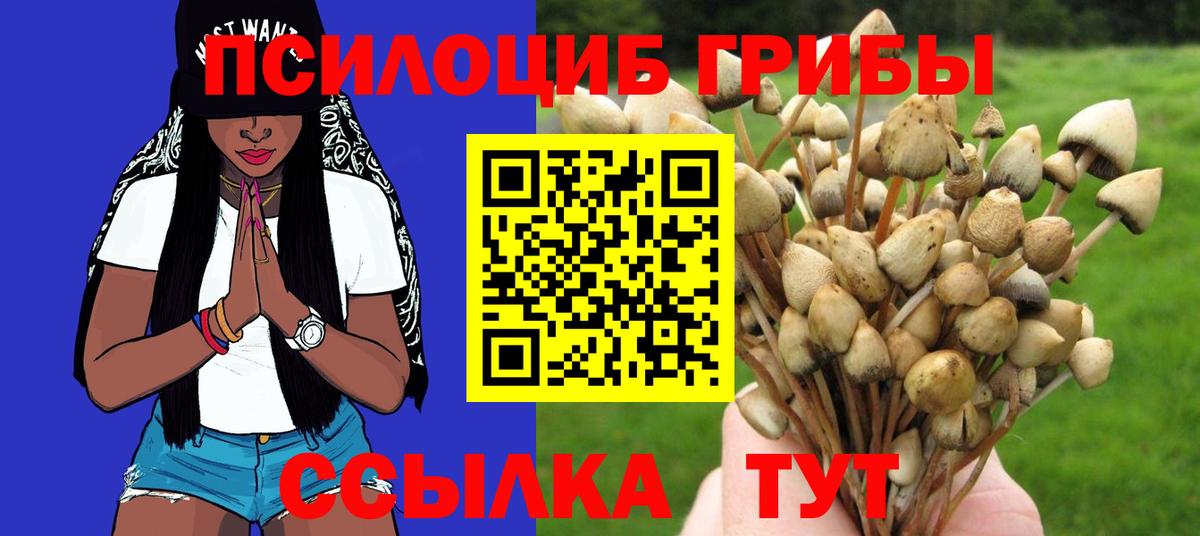 Псилоцибиновые грибы мухоморы  Вход с VPN  Братск  Галлюциногенные грибы прущие грибы 